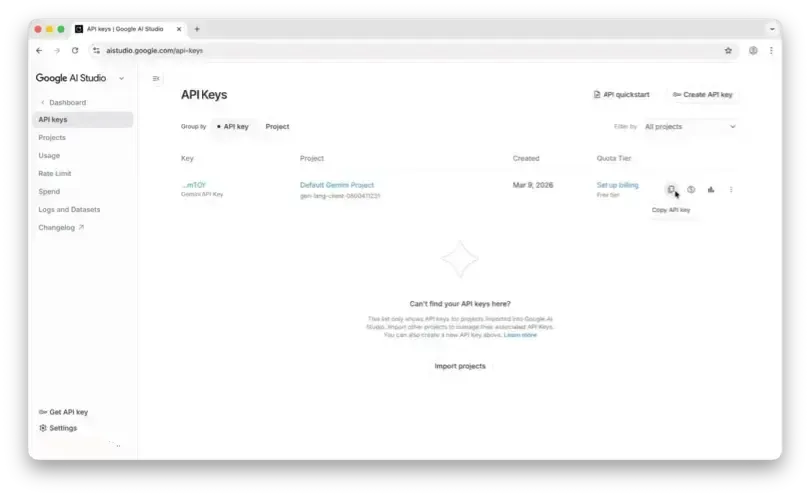 Copy API key from AI Studio
